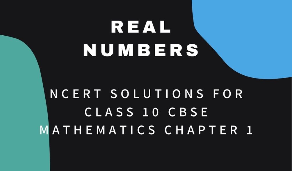 NCERT Solutions For Class 10 CBSE Mathematics Chapter 1 Real Numbers